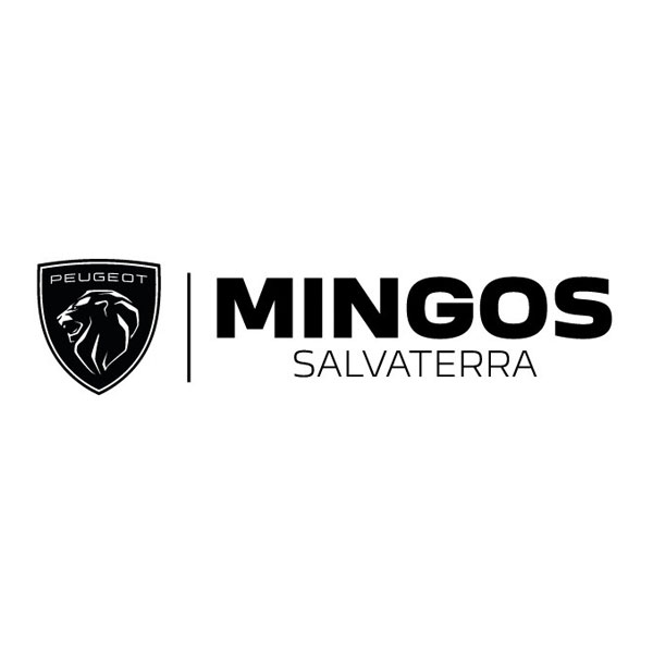 talleres-mingos-salvatierra